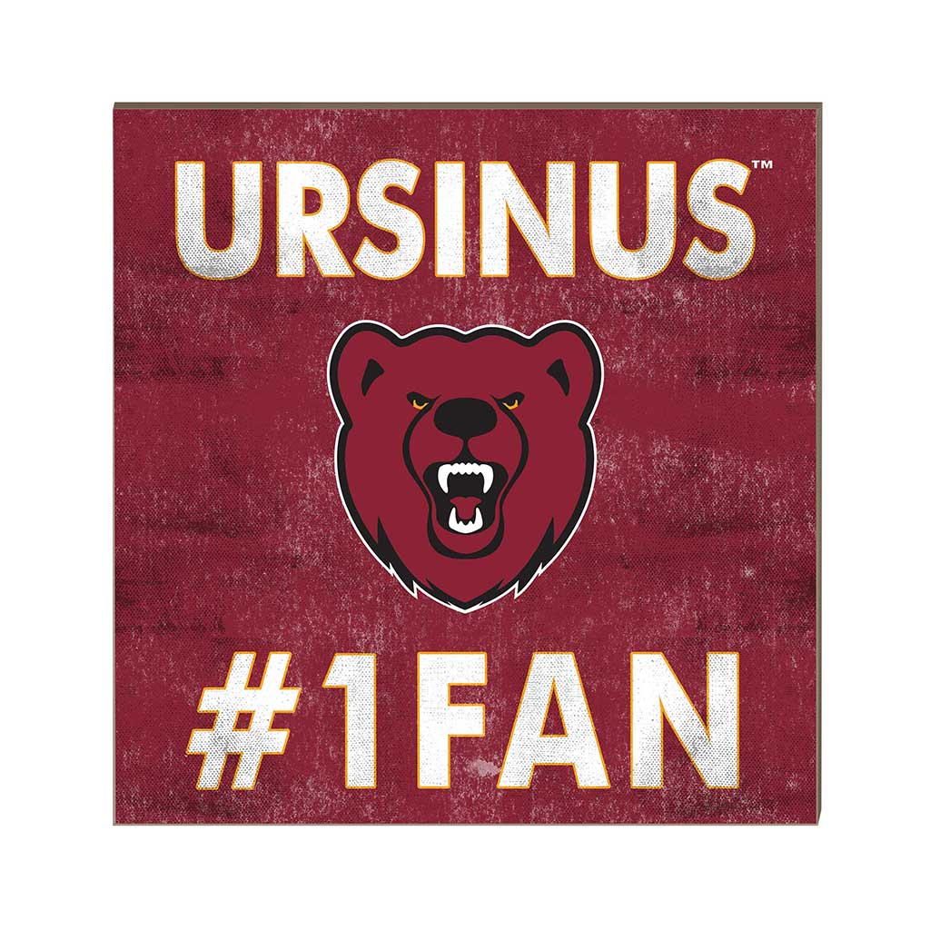 10x10 Team Color #1 Fan Ursinus College Bears