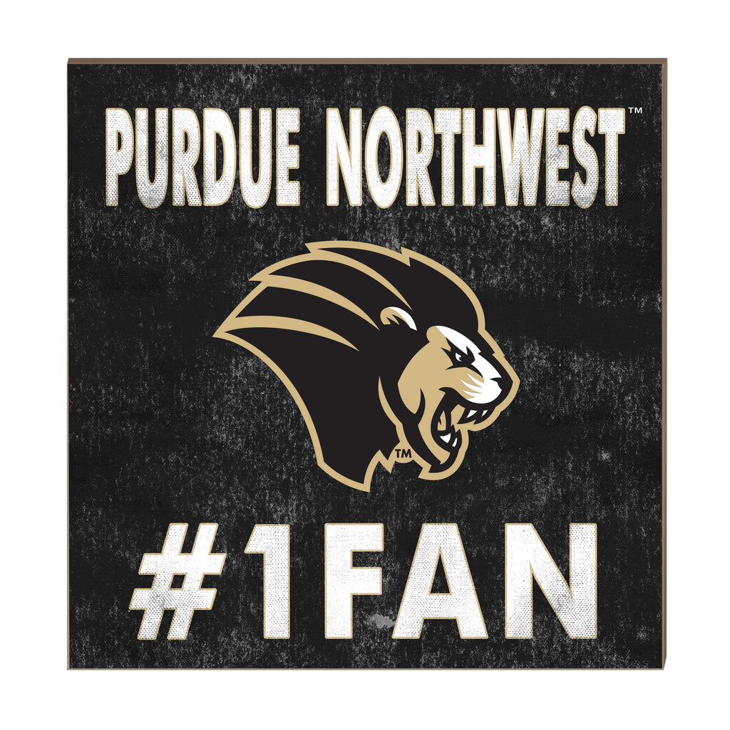10x10 Team Color #1 Fan Purdue University Northwest Pride