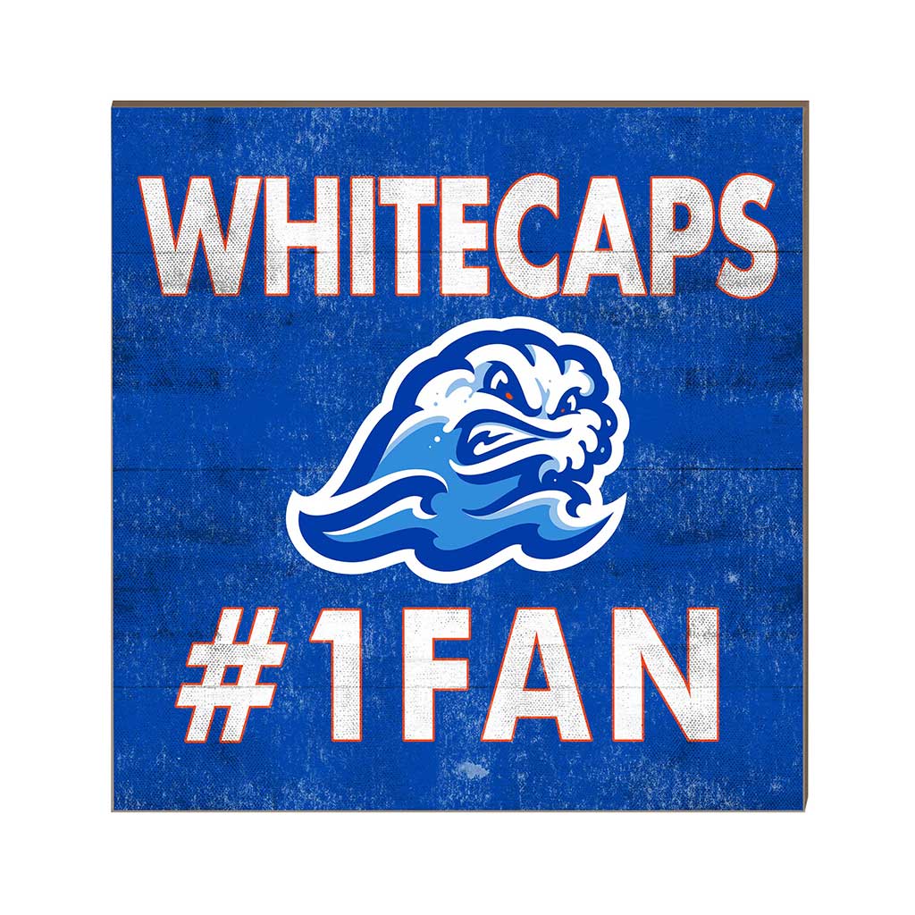 10x10 Team Color #1 Fan Galveston College Whitecaps