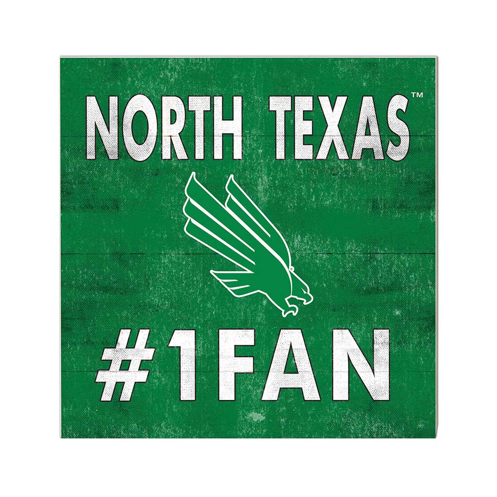 10x10 Team Color #1 Fan North Texas Mean Green