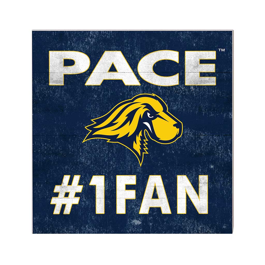 10x10 Team Color #1 Fan Pace University Setters