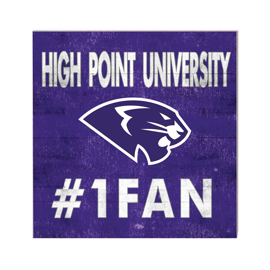 10x10 Team Color #1 Fan High Point Panthers
