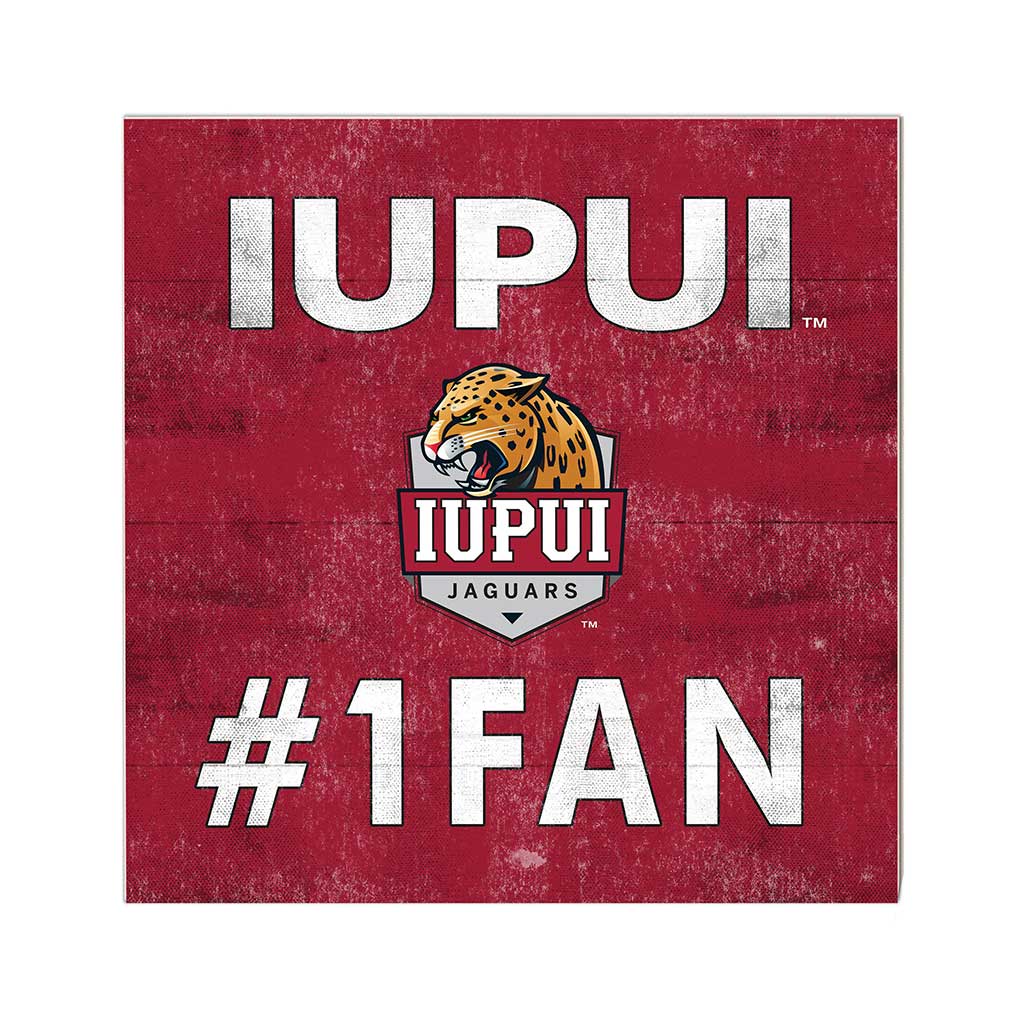 10x10 Team Color #1 Fan Indiana-Purdue Indianapolis Jaguars
