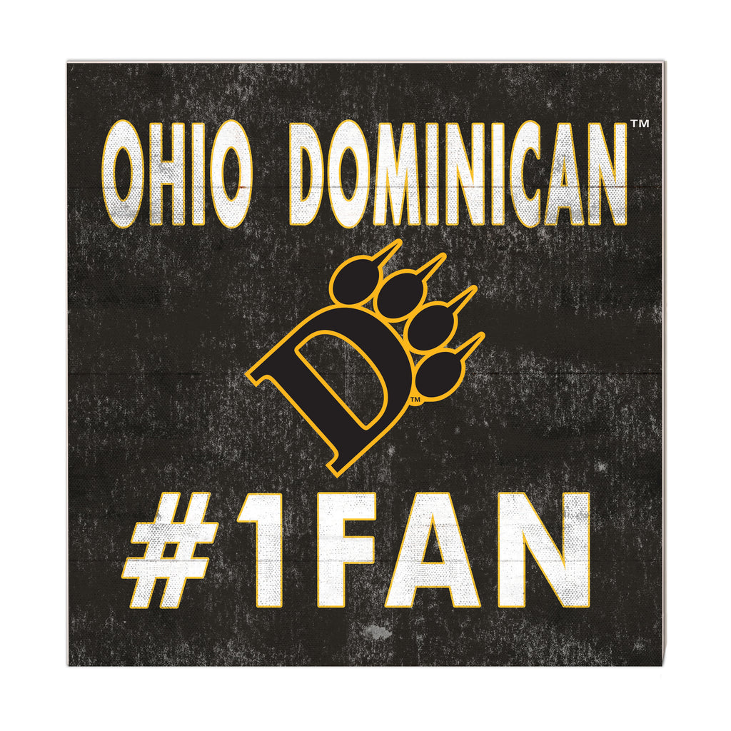 10x10 Team Color #1 Fan Ohio Dominican University Panthers