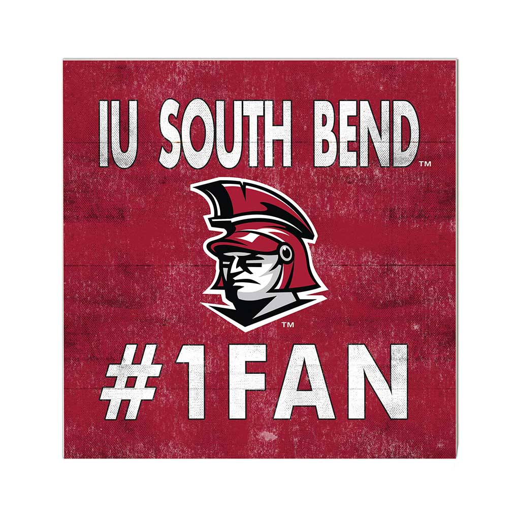 10x10 Team Color #1 Fan Indiana University South Bend Titans