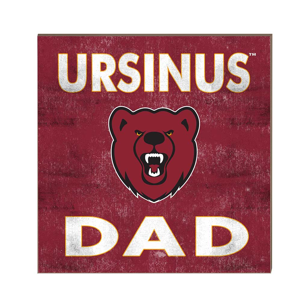 10x10 Team Color Dad Ursinus College Bears