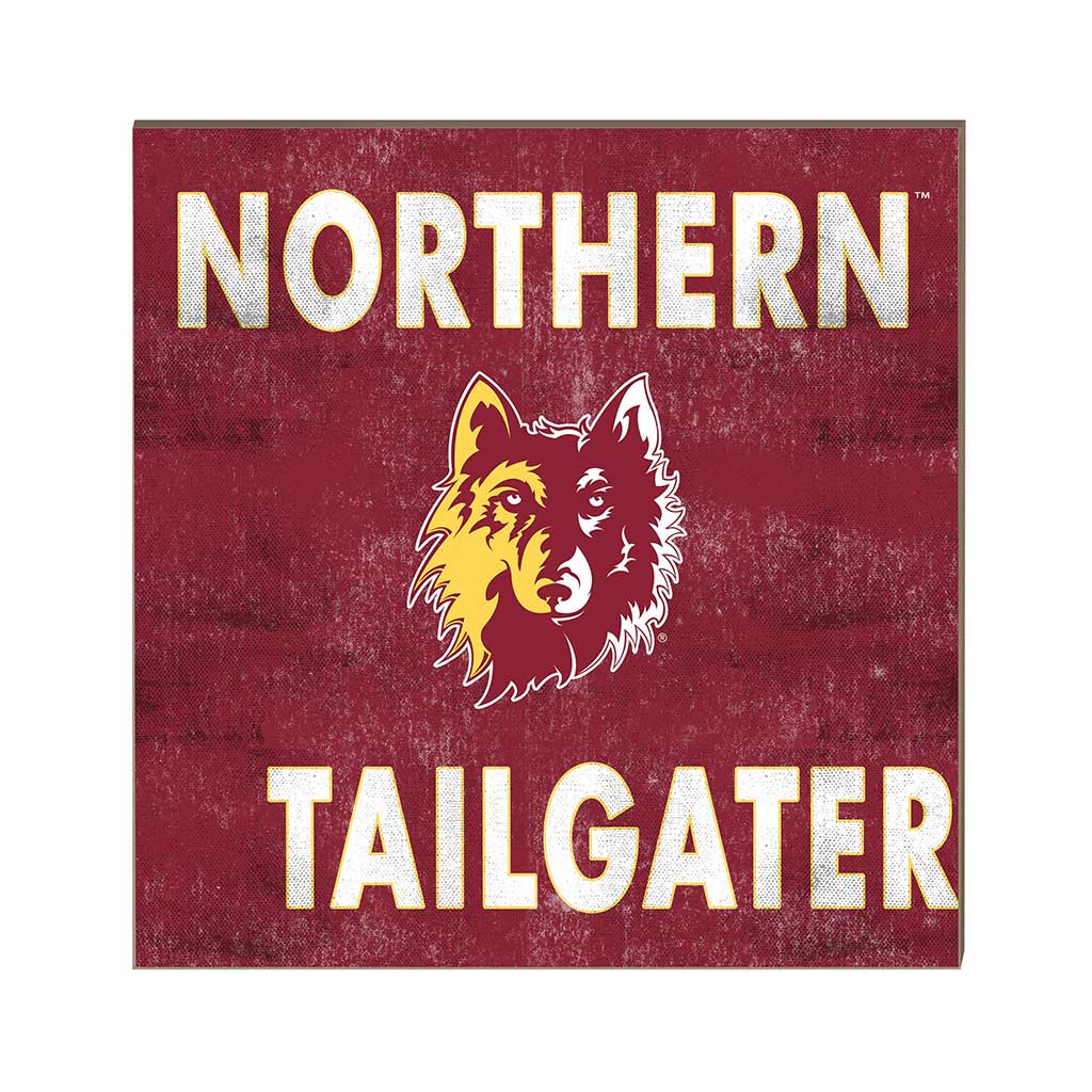 10x10 Team Color Tailgater Northern State University Wolves