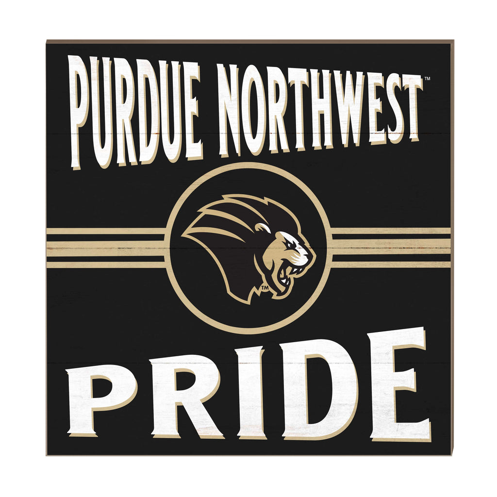 10x10 Retro Team Sign Purdue University Northwest Pride