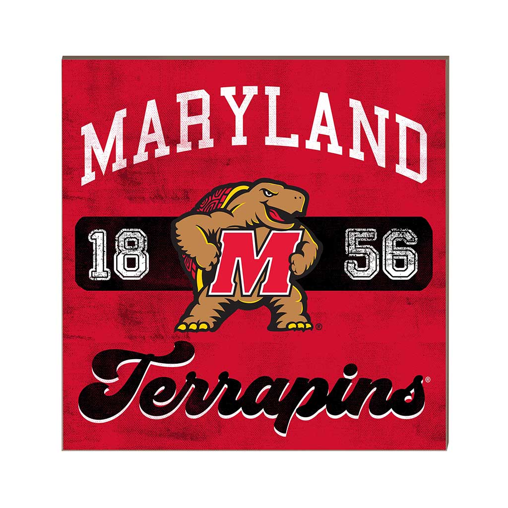 10x10 Retro Team Mascot Sign Maryland Terrapins