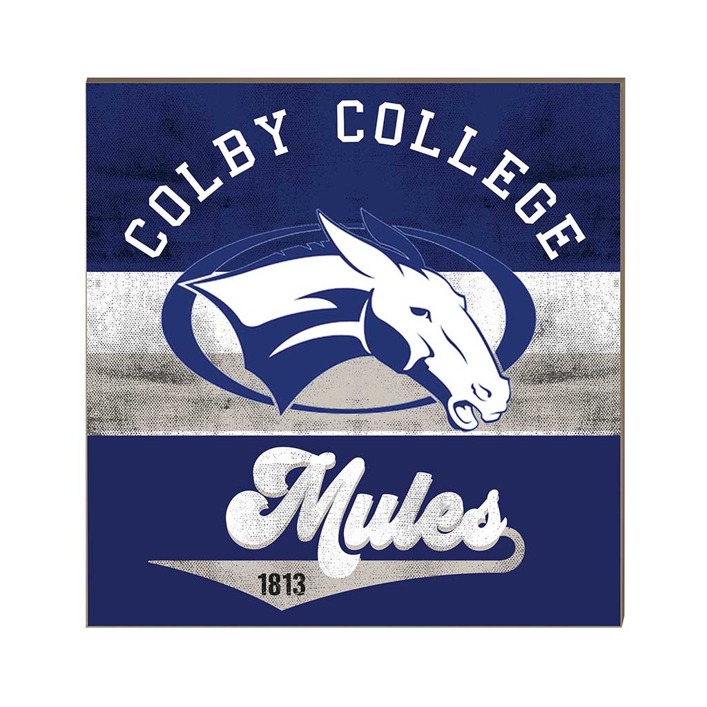 10x10 Retro Multi Color Sign Colby College White Mules