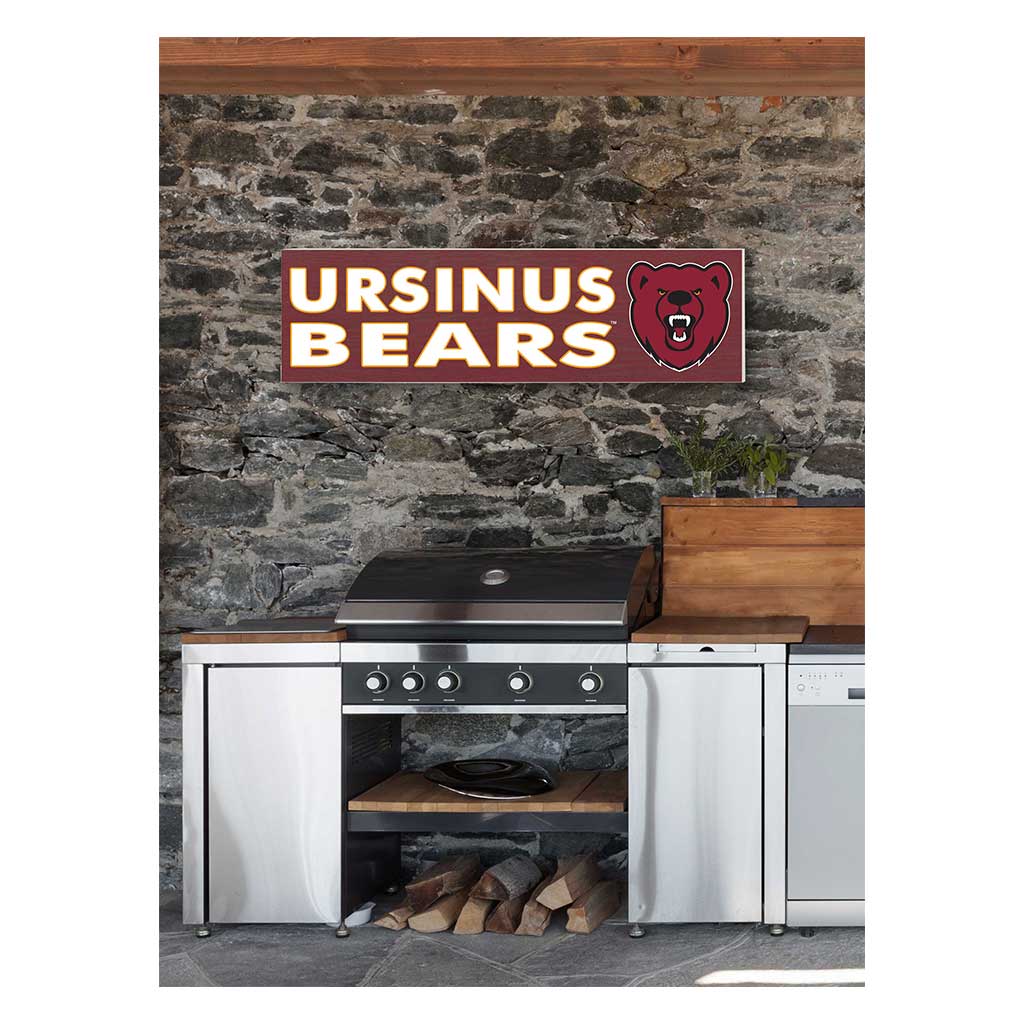 35x10 Indoor Outdoor Sign Colored Logo Ursinus College Bears