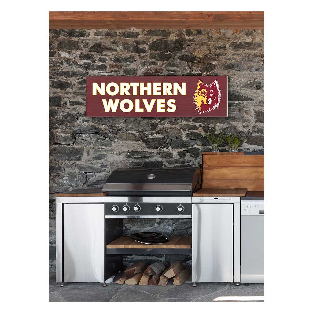 35x10 Indoor Outdoor Sign Colored Logo Northern State University