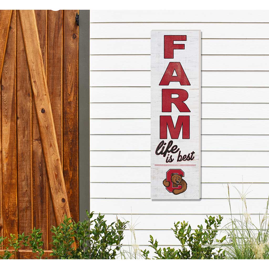 10x35 Indoor Outdoor Sign FARM Life Cornell Big Red