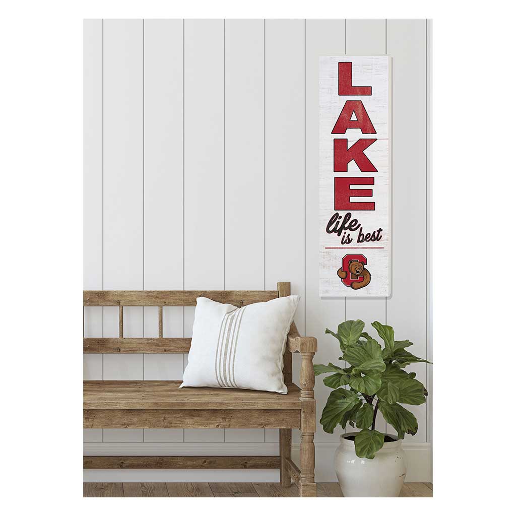 10x35 Indoor Outdoor Sign LAKE Life Cornell Big Red