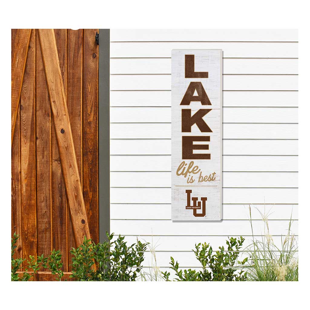 10x35 Indoor Outdoor Sign LAKE Life Lehigh Mountain Hawks