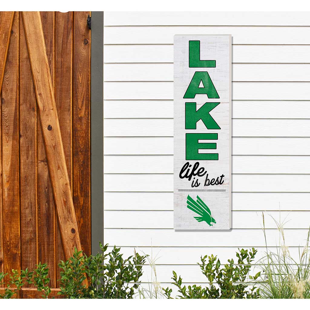 10x35 Indoor Outdoor Sign LAKE Life North Texas Mean Green