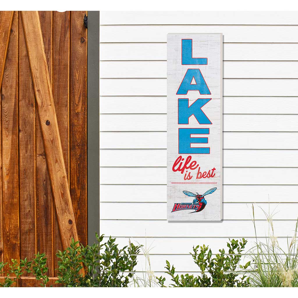 10x35 Indoor Outdoor Sign LAKE Life Delaware State Hornets