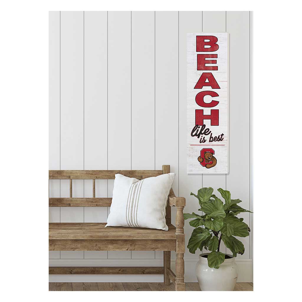 10x35 Indoor Outdoor Sign Beach Life Cornell Big Red