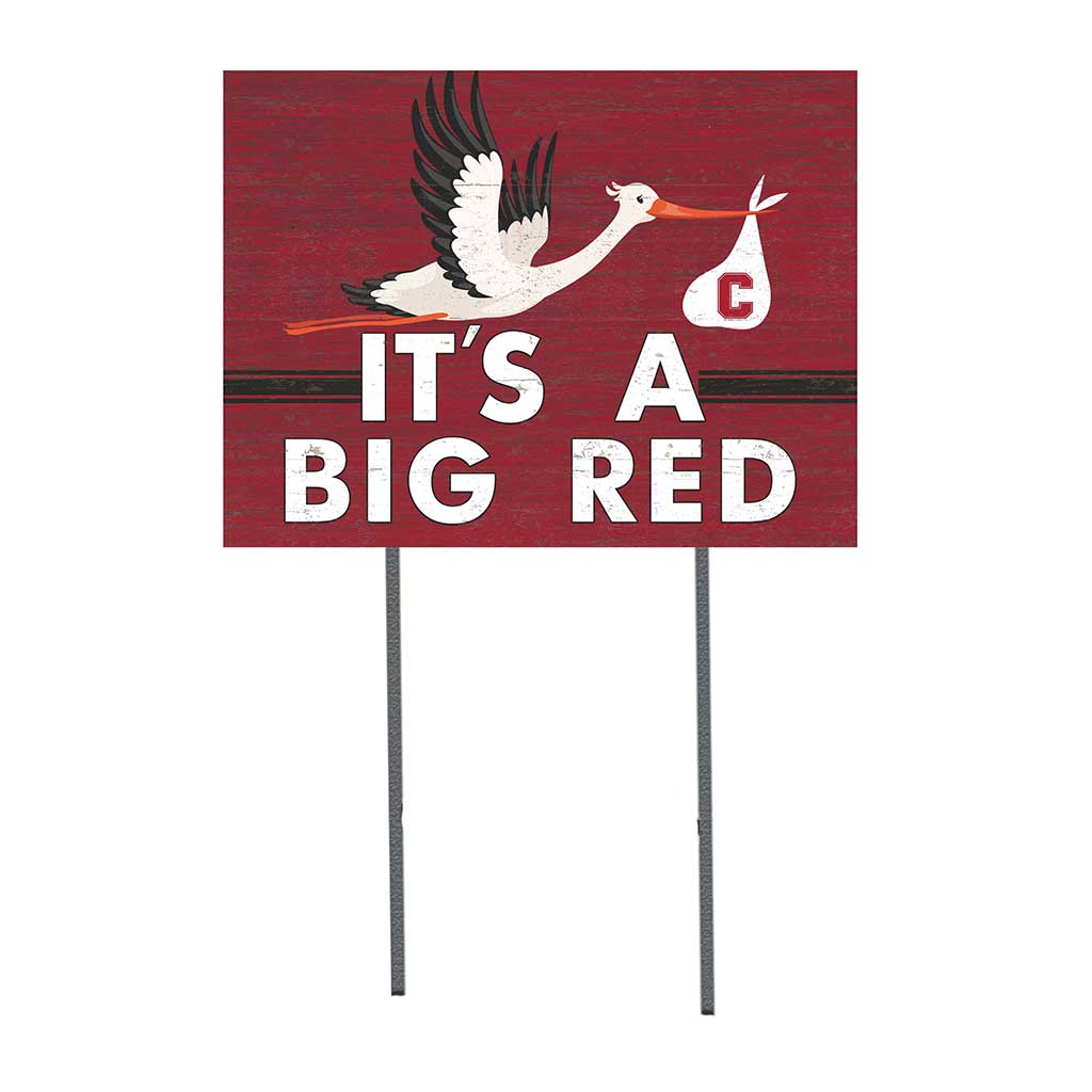 18x24 Lawn Sign Stork Yard Sign It's A Cornell Big Red