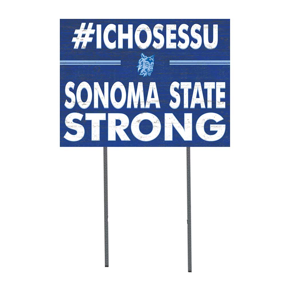 Ssu Colours College Team Flag Sonoma State Seawolves Color Codes Hex, RGB, And CMYK ...