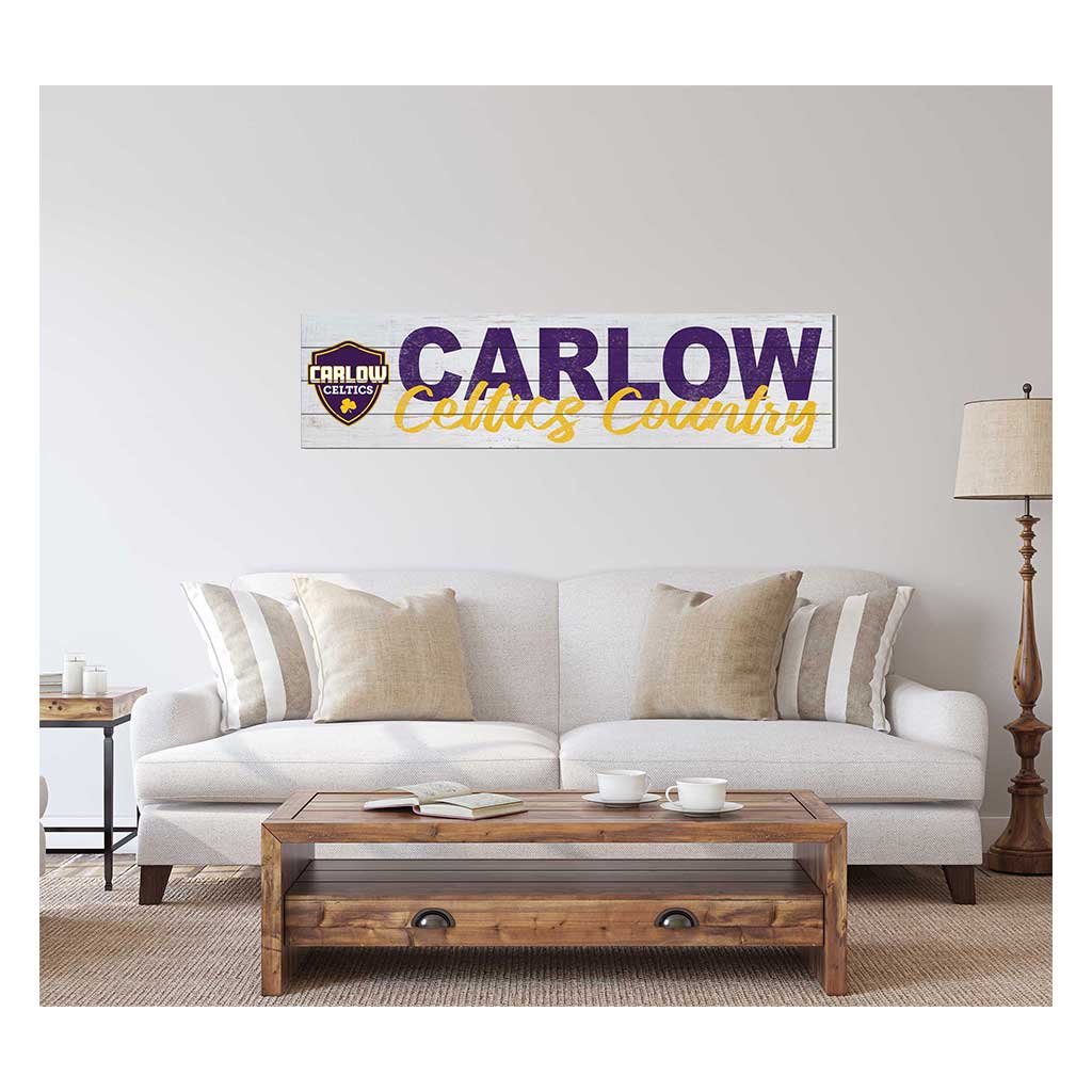 40x10 Sign With Logo Carlow University Celtics