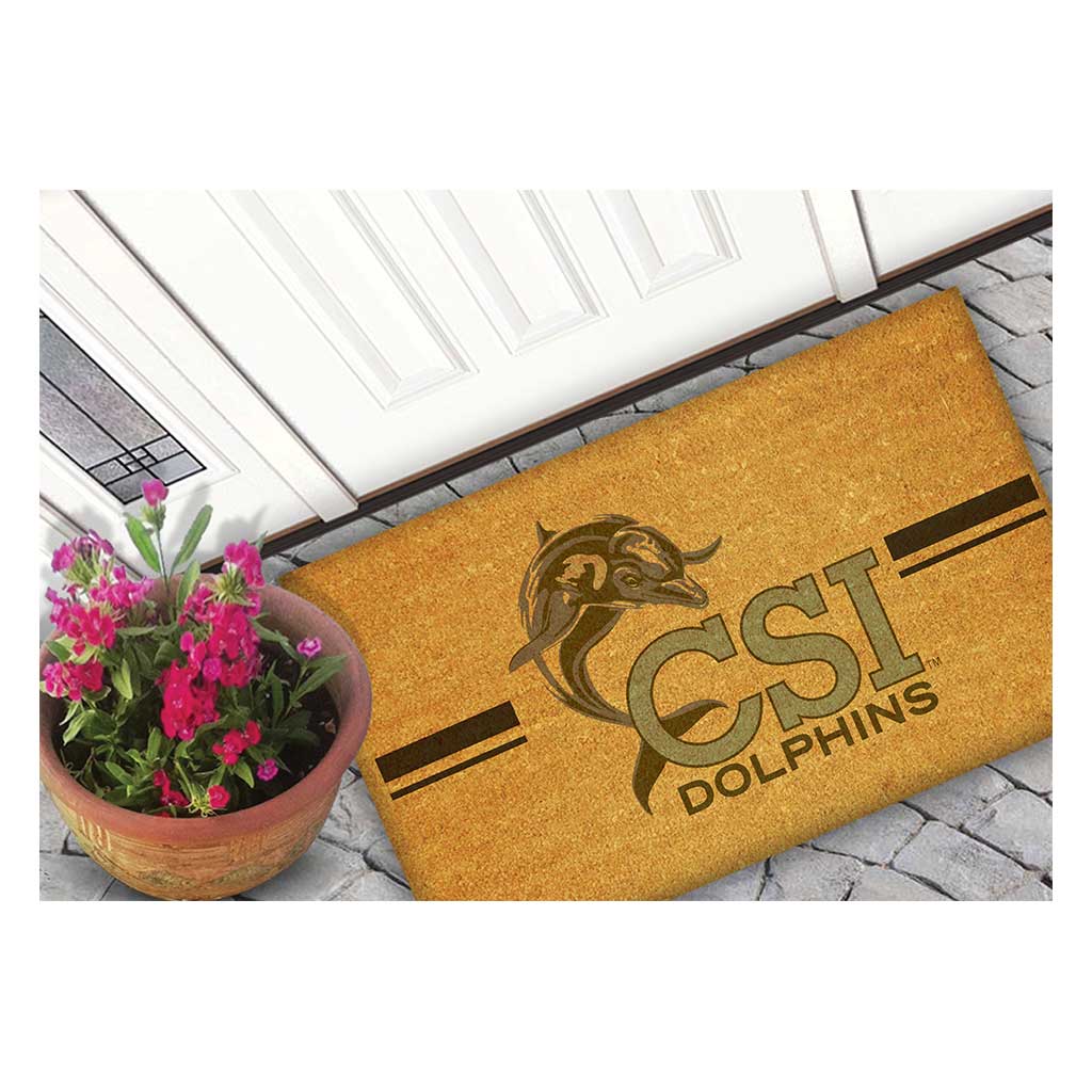 Team Coir Doormat Team Logo College of Staten Island Dolphins