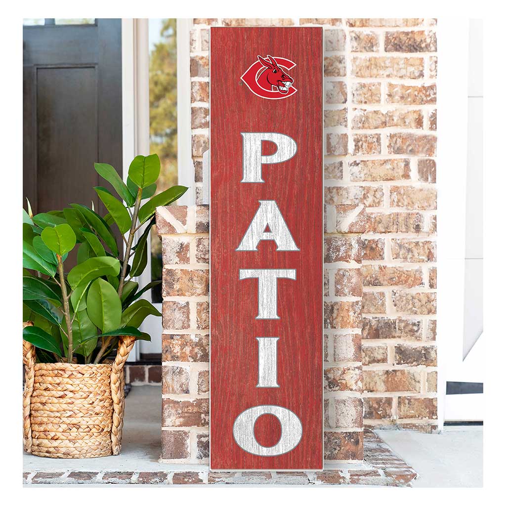 11x46 Leaning Sign Patio Central Missouri Mules