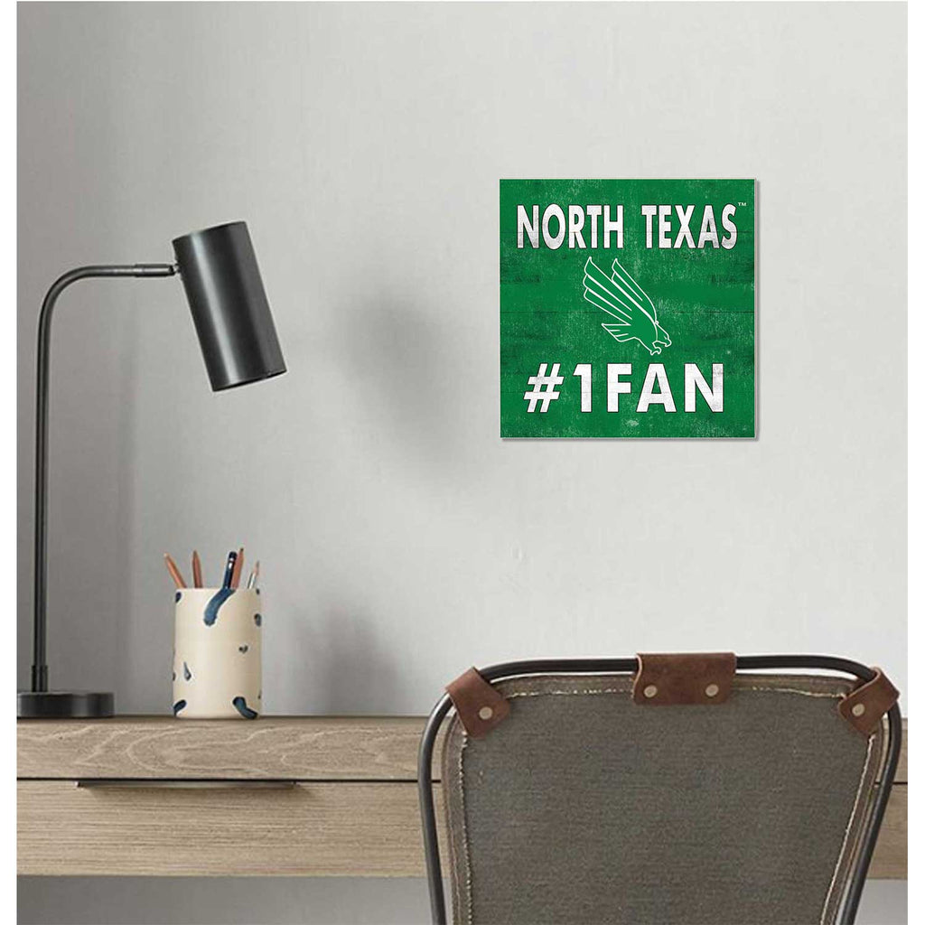 10x10 Team Color #1 Fan North Texas Mean Green
