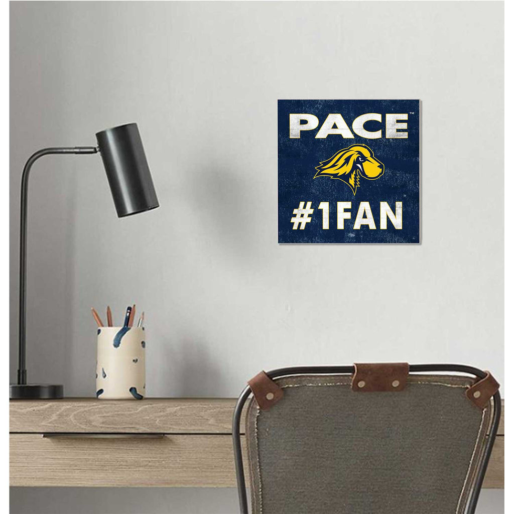 10x10 Team Color #1 Fan Pace University Setters