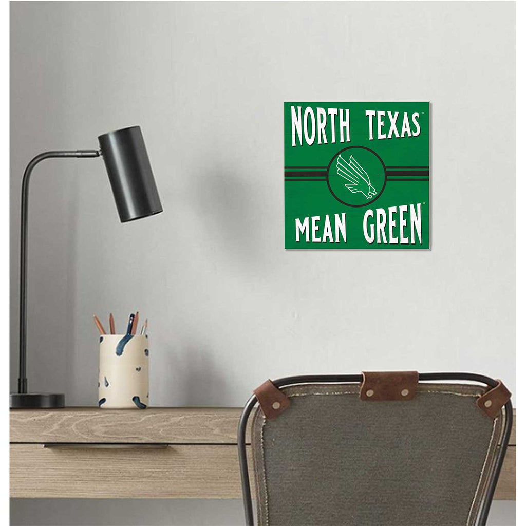 10x10 Retro Team Sign North Texas Mean Green